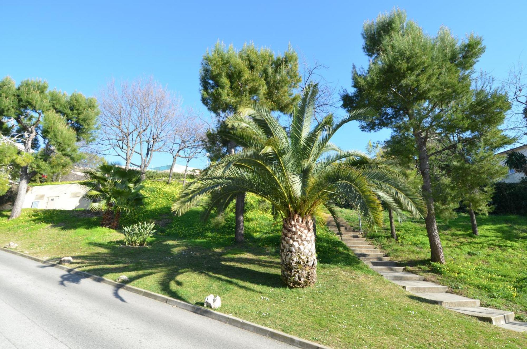 Appartement 5 personnes avec piscine sur la Corniche Fleurie à Nice Exterior foto